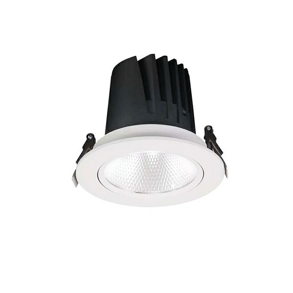 007W Recessed Downlight, 20W