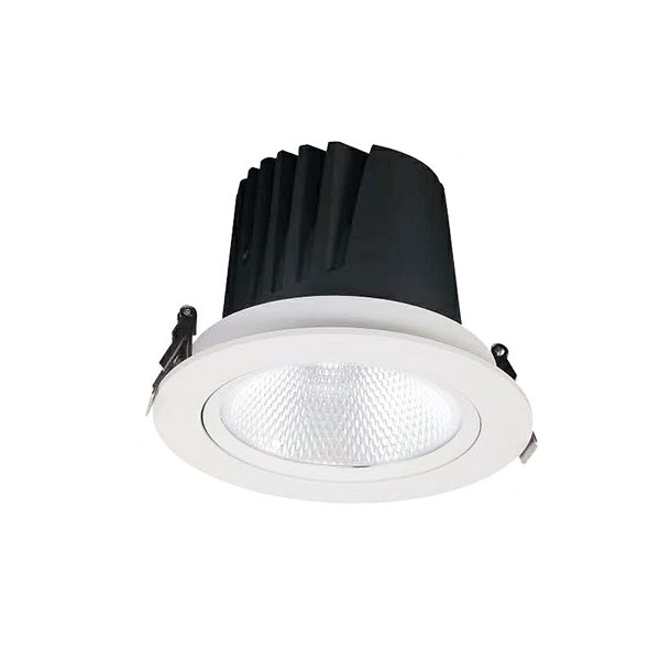 007W Recessed Downlight, 30W
